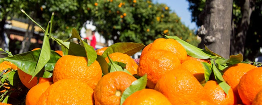 Aprovechando las naranjas: llega la 'tapa naranja'